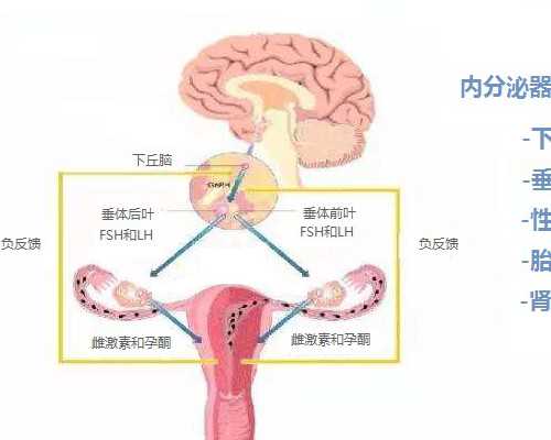 移植鲜胚第九天白板最后成功(鲜胚第八天测白板还有无希望)
