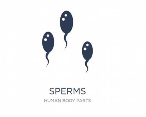 <strong>重庆什么医院可以代孕,重庆助孕机构-重庆三代试管医院</strong>