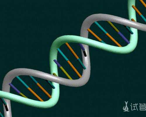 重庆供卵试管成功率高吗？重庆试管婴儿多少钱？