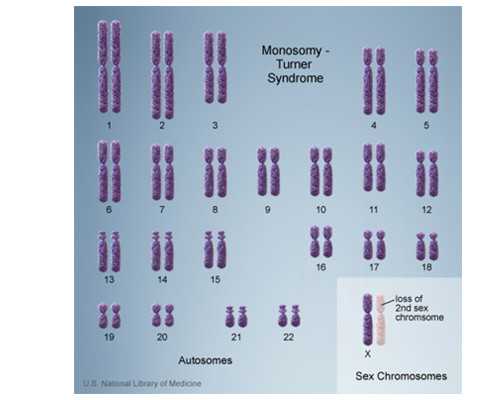 重庆最好代孕公司,徐州第三代试管婴儿技术发展的怎么样？-上海供卵试管双胞