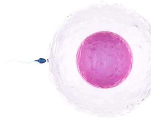 重庆三代试管婴儿的医院有哪些附重庆试管助孕