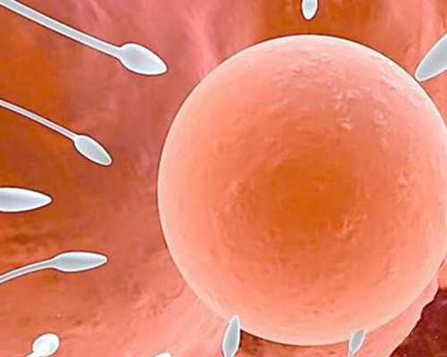 重庆代孕哪家做的好,北京协和医院2024
年供卵试管费用是多少？准备15万够不够