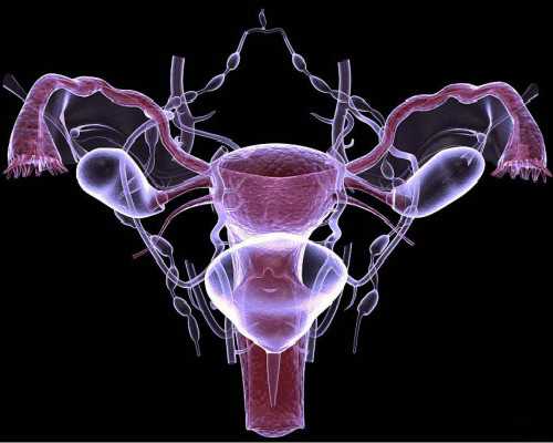 重庆试管 准生证,美国试管婴儿取卵疼吗?有哪些注意事项？_上海供卵试管中心