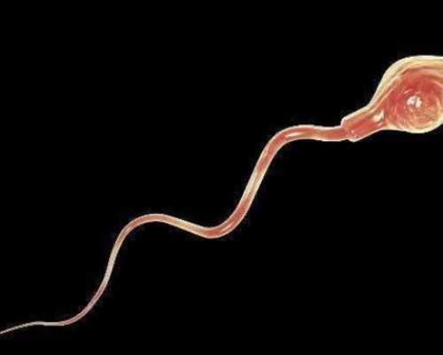 重庆供卵做试管费用多少,23家医疗机构齐聚重庆市企业医院协会儿科学专委会成